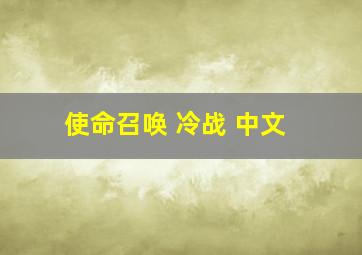 使命召唤 冷战 中文